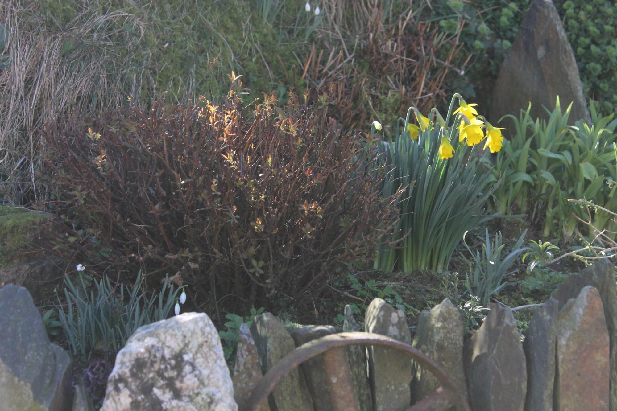 Brynhaul Bed And Breakfast Maenclochog Exterior foto