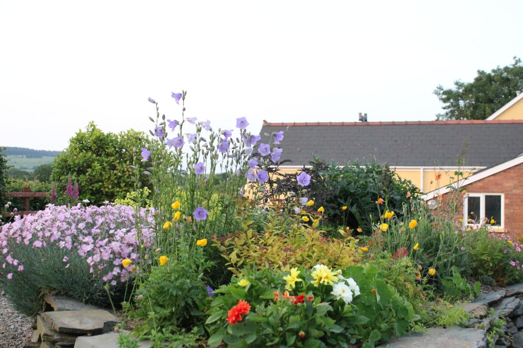 Brynhaul Bed And Breakfast Maenclochog Exterior foto